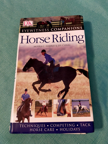 Horse riding eyewitness - horse, (eyewitness