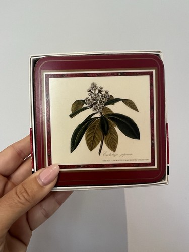 Pimpernel vintage flora - pimpernel,