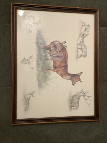 Nigel hemming framed signed - framed,,