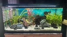 3ft Fish Tank Aquarium with Heater and Filter