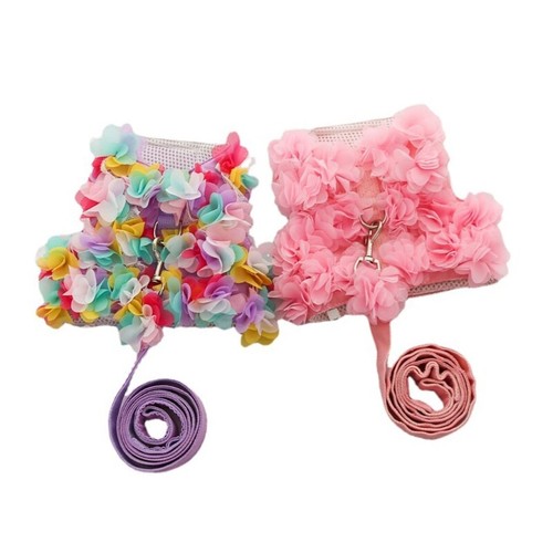 Small dog costume - costume, cats