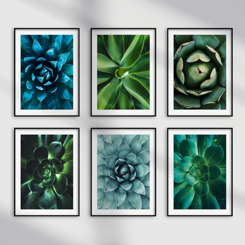 Green botanical succulent - green,