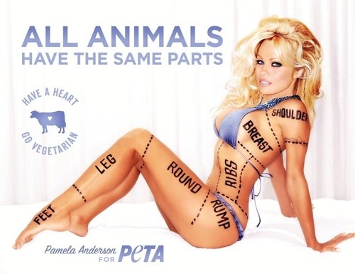 Pamela anderson poster - anderson,