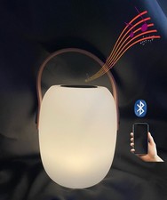 Bird Egg 2-in-1 Bluetooth