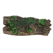 Aquarium Cave Ornaments