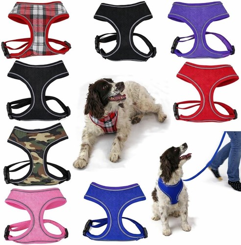 Dog harness puppy - dog,