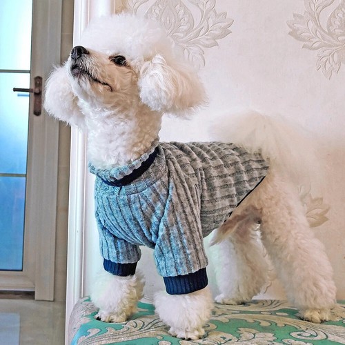 Knit pet dog jumper - jumper, sweater