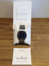 Men’s SKAGEN Titanium Watch
