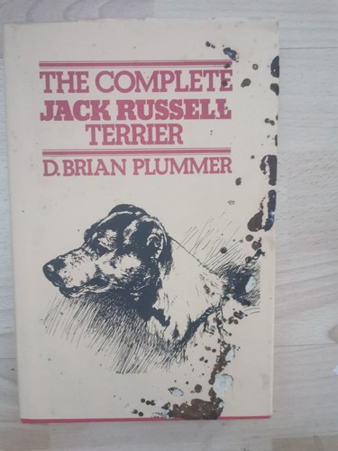 Complete jack russell - jack, terrier