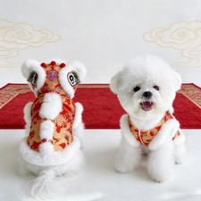 Lion Dance Dog Costume Kitten