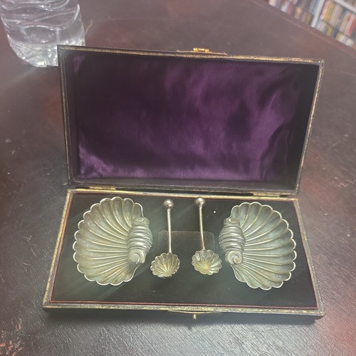Antique victorian cased shell - victorian,
