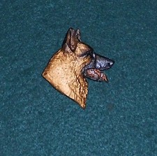 BELGIAN SHEPHERD MALINOIS Dog