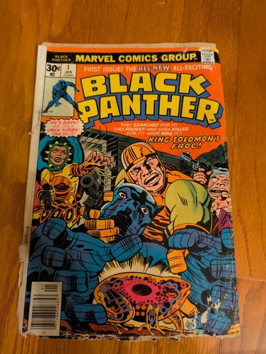 Black panther 1st solo - panther,