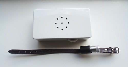 8ft ferret finder - , collar