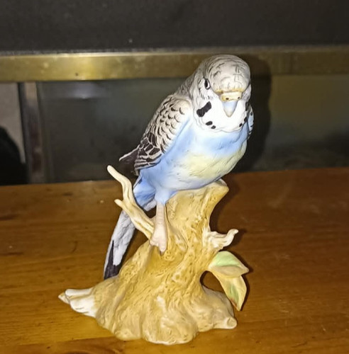 Budgie figurine maruri - budgie,