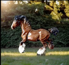 BESWICK GALLOPING SHIRE HORSE