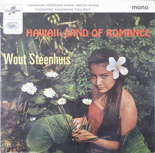 Wout steenhuis hawaii land - wout,