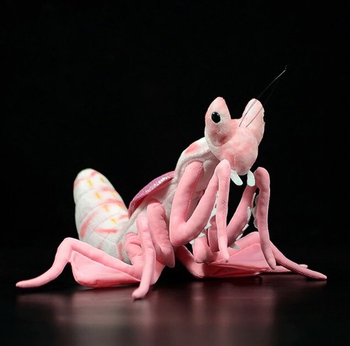 Pink orchid mantis inch - pink, 11