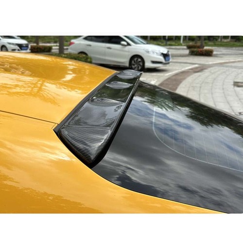 Carbon fiber rear roof - roof, spoiler