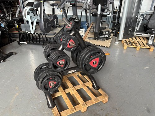 257kg ziva olympic weight - ziva,