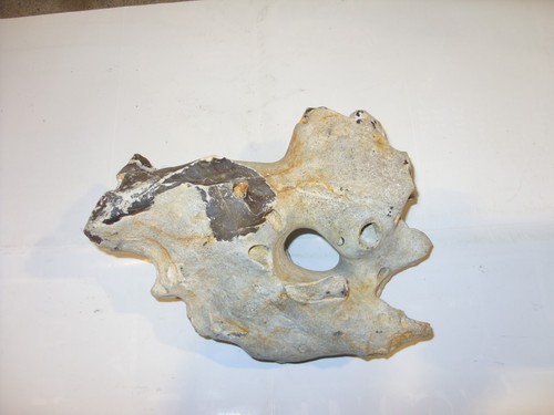 Flint hag stone - flint,