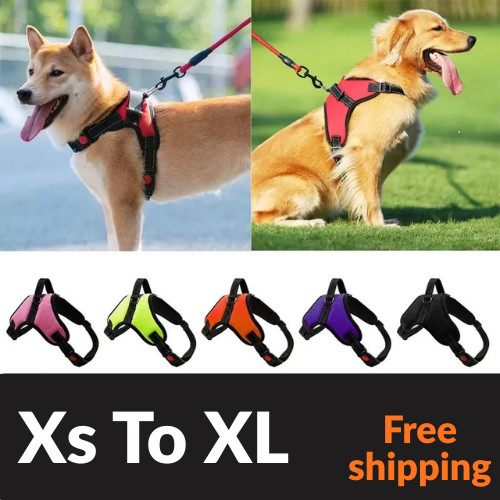Dog harness pull for small - dog,