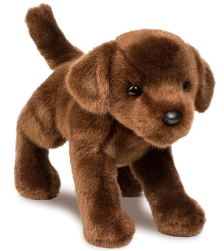 Douglas dogs bean - dogs,