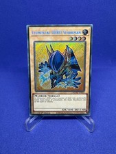 Yu-Gi-Oh! Secret Rare -