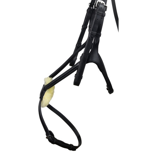 Eco rider freedom grackle - rider,