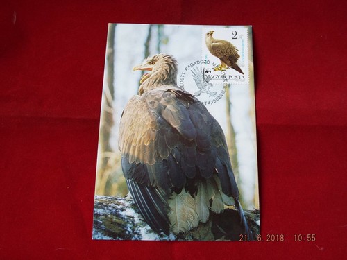 World wildlife fund magyar - world,