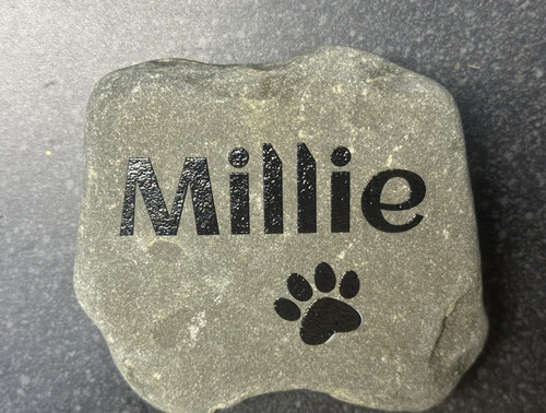 Dog cat memorial pet - cat,
