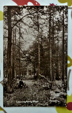 Postcard Leaving Fairy Steps