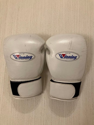 Winning 200b boxing gloves - boxing,
