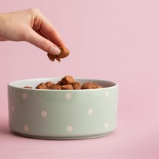 Mason Cash Polka Dot Sage Green Stoneware 18 cm Dog Bowl