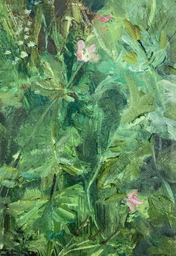 Dartmoor geranium original - geranium,