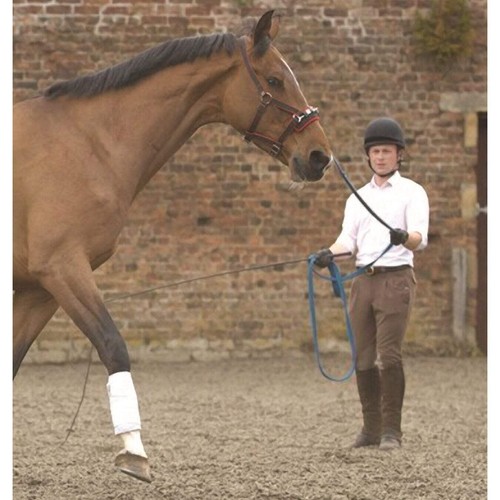 Horse soft webbing lunge - hy,