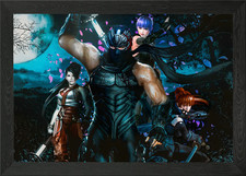 Ninja Gaiden Framed Wall Art