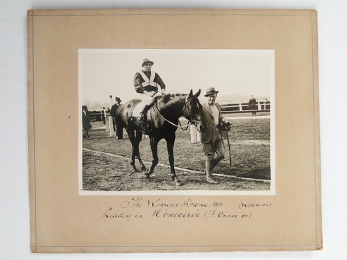 Jockey evans monoceros - evans,