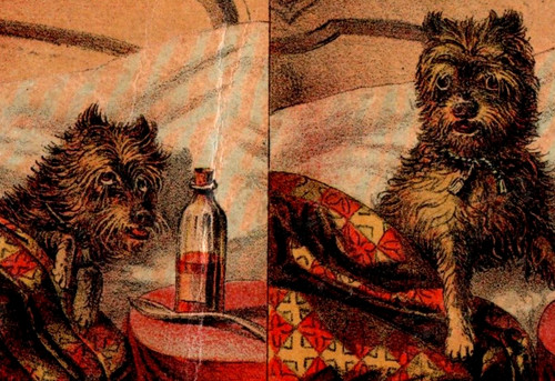1870s 80s selz schwab - selz,, &