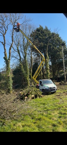 Iveco cherry picker - cherry, truck