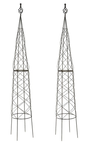 Plant climbing obelisks garden - obelisks,