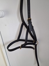 Foal Slip Dark Brown Leather with Brass Buckles, Used But Good Condition