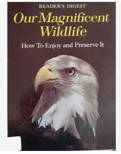 Our magnificent wildlife - wildlife, by