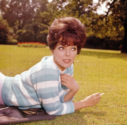 Joan collins x - joan, colour