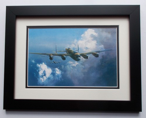 Aircraft print framed - aircraft,