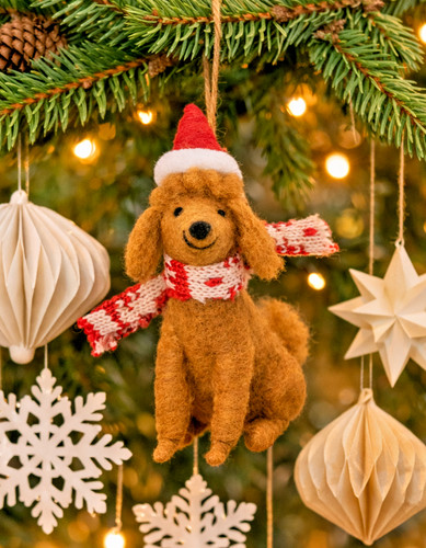 Sass belle poodle dog - sass, scarf