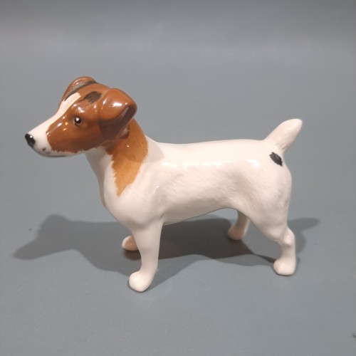 Beswick jack russel terrier - jack,