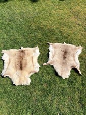 Reindeer Hide Rug 100%