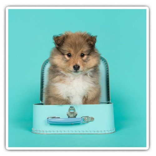 Square stickers cm - 7.5,