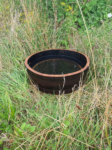 Small 20cm tall shallow oak - small,